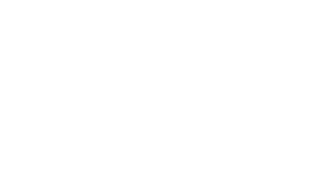 Pasha USA